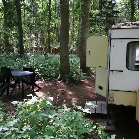 Bodenblick Mit Badewanne&wm&trockner Zwischen Bodden&meer